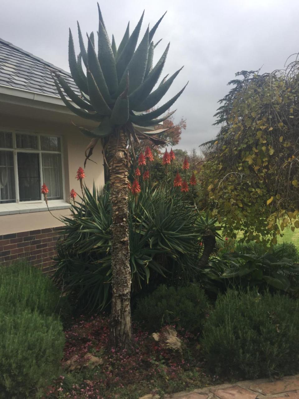 Gibson Place Vrede Luaran gambar